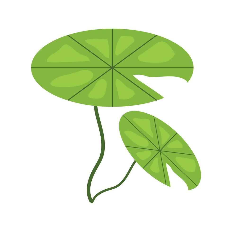 desenho à mão alocasia natural verde folha vetor ilustração