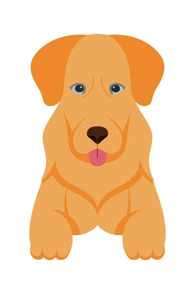 desenho animado cachorro cachorros raças animais de estimação fofa personagens. plano Projeto do fofa cachorros e filhotes vetor ilustração.