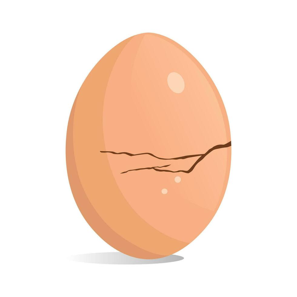 rachou Castanho ovo, isolado em branco fundo, vetor ilustração, orgânico comida, solteiro Projeto