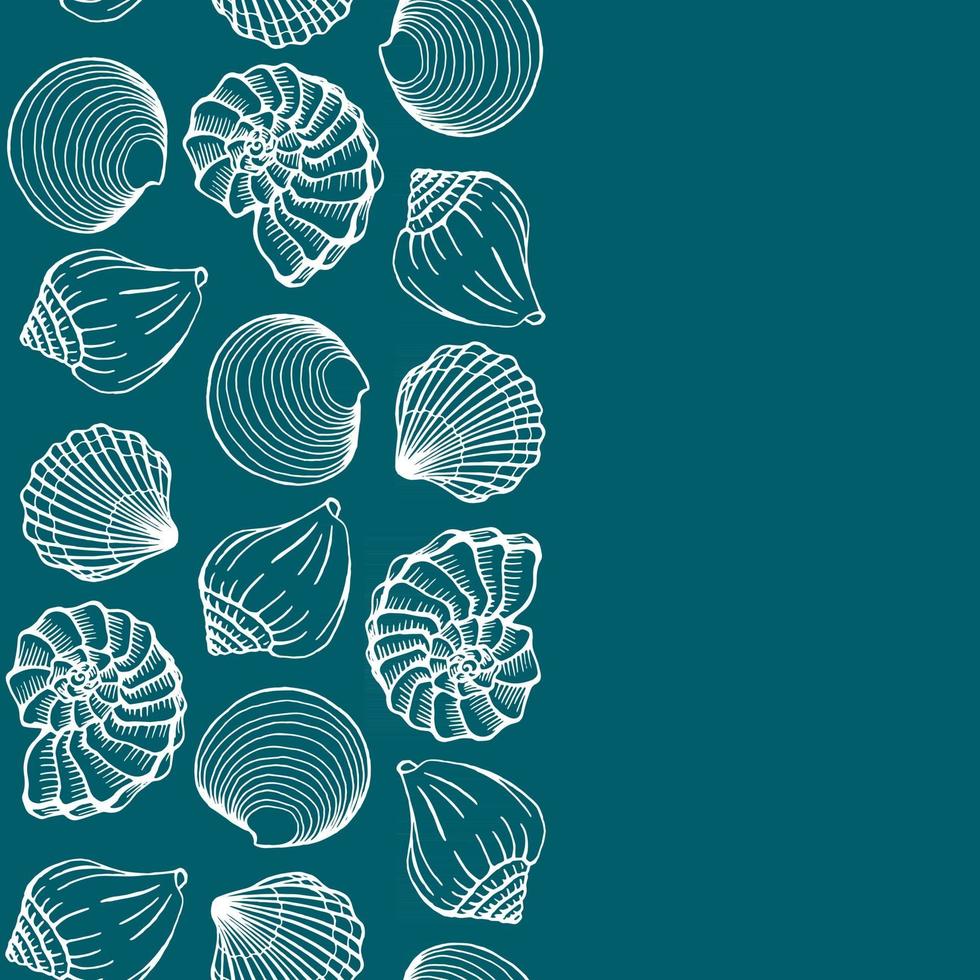 conchas do mar moldam o mar e o oceano modelo de design ilustração vetorial modelos de cartão de vetor perfeitos para convite de cartão de visita, casamento e web design