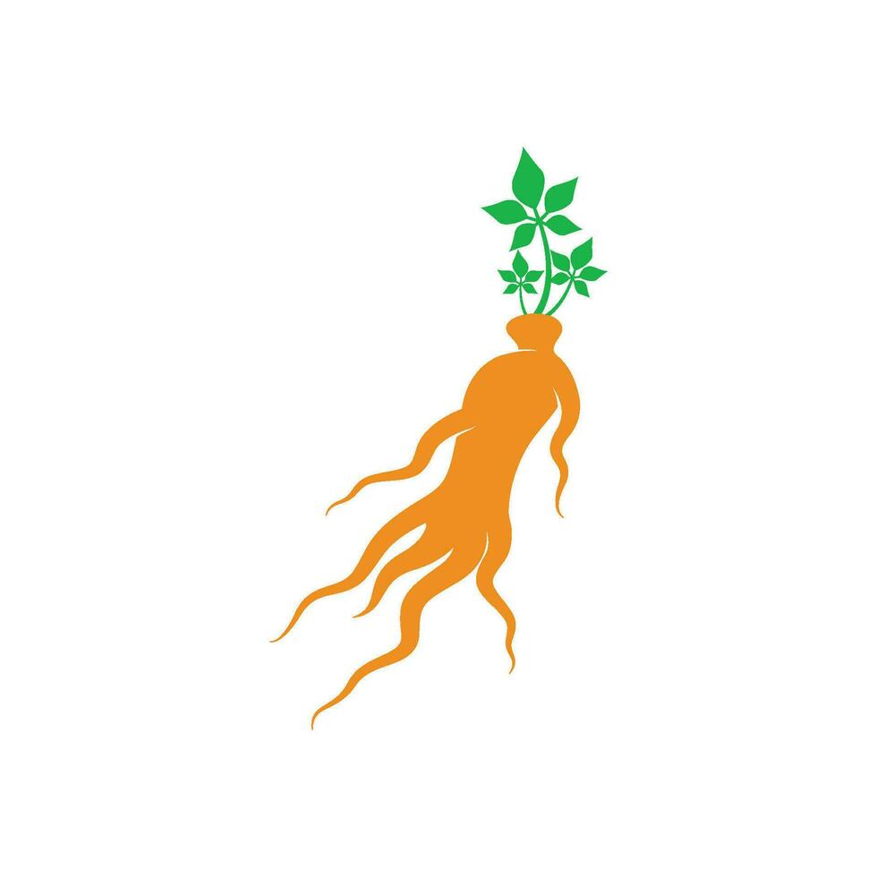 vetor do logotipo do ginseng