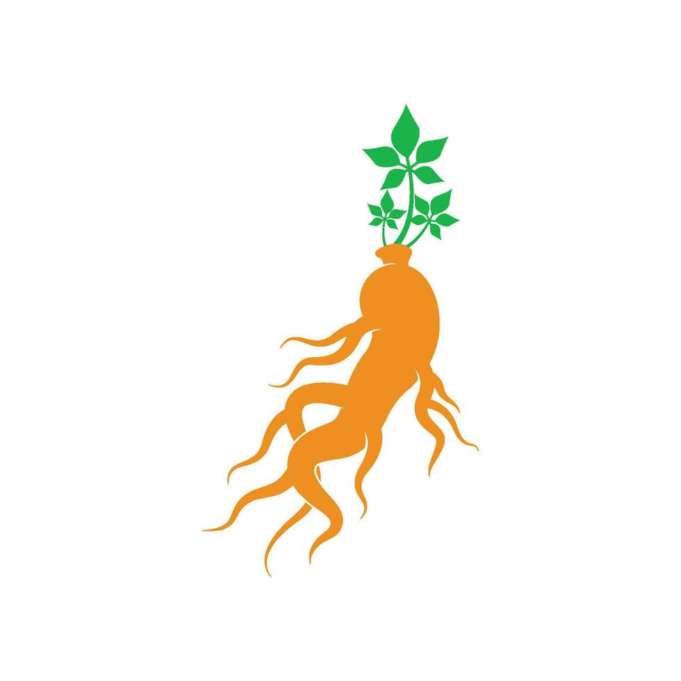 vetor do logotipo do ginseng