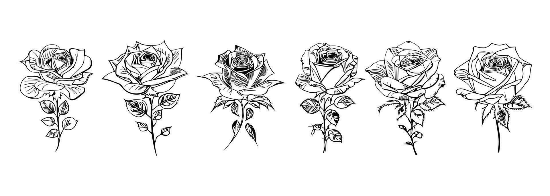 rosas conjunto linha arte vetor