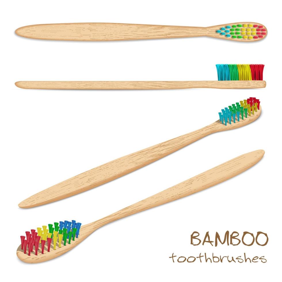 escovas de dentes coloridas de bambu. cerdas naturais. zero desperdício, material biodegradável. vetor