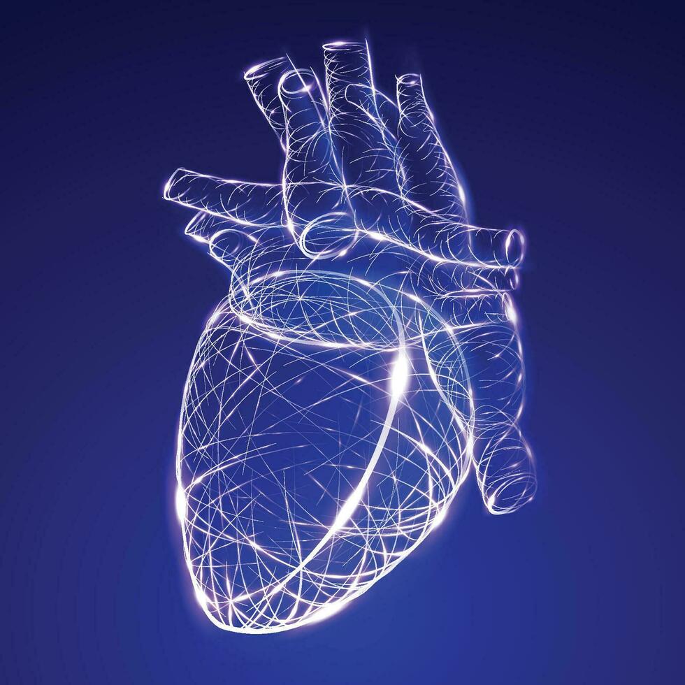 ilustração do brilhando curvado linhas dentro a forma do uma coração em uma Sombrio azul fundo. vetor