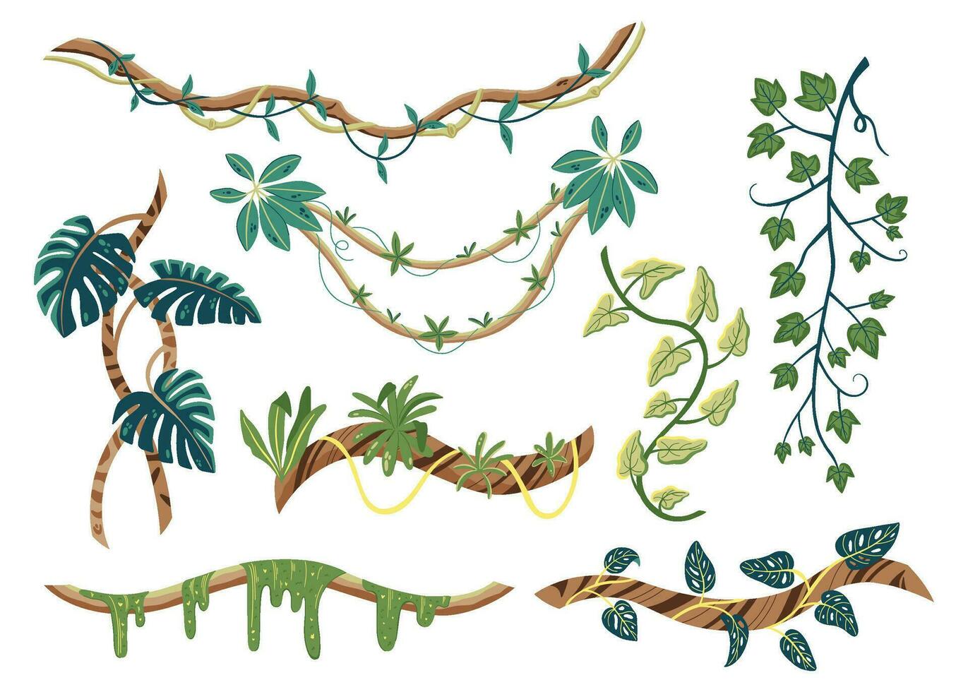 conjunto de lianas tropicais vetor