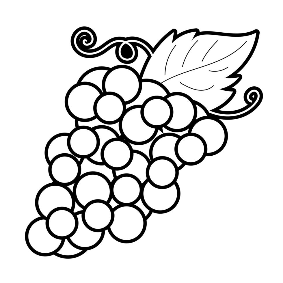 ícone de estilo de linha de frutas de uvas vetor