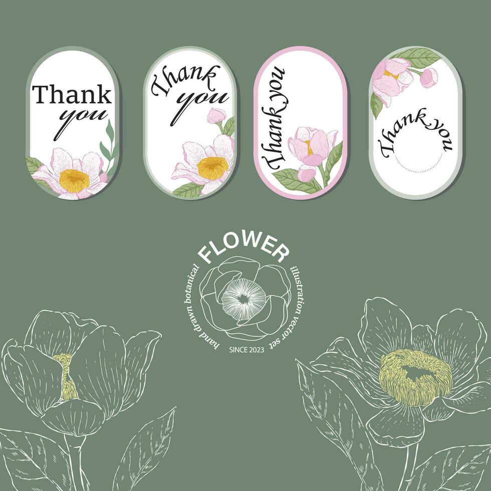 botânico mão desenhado Gustavia flor ilustração para logotipo tag e fronteira vetor