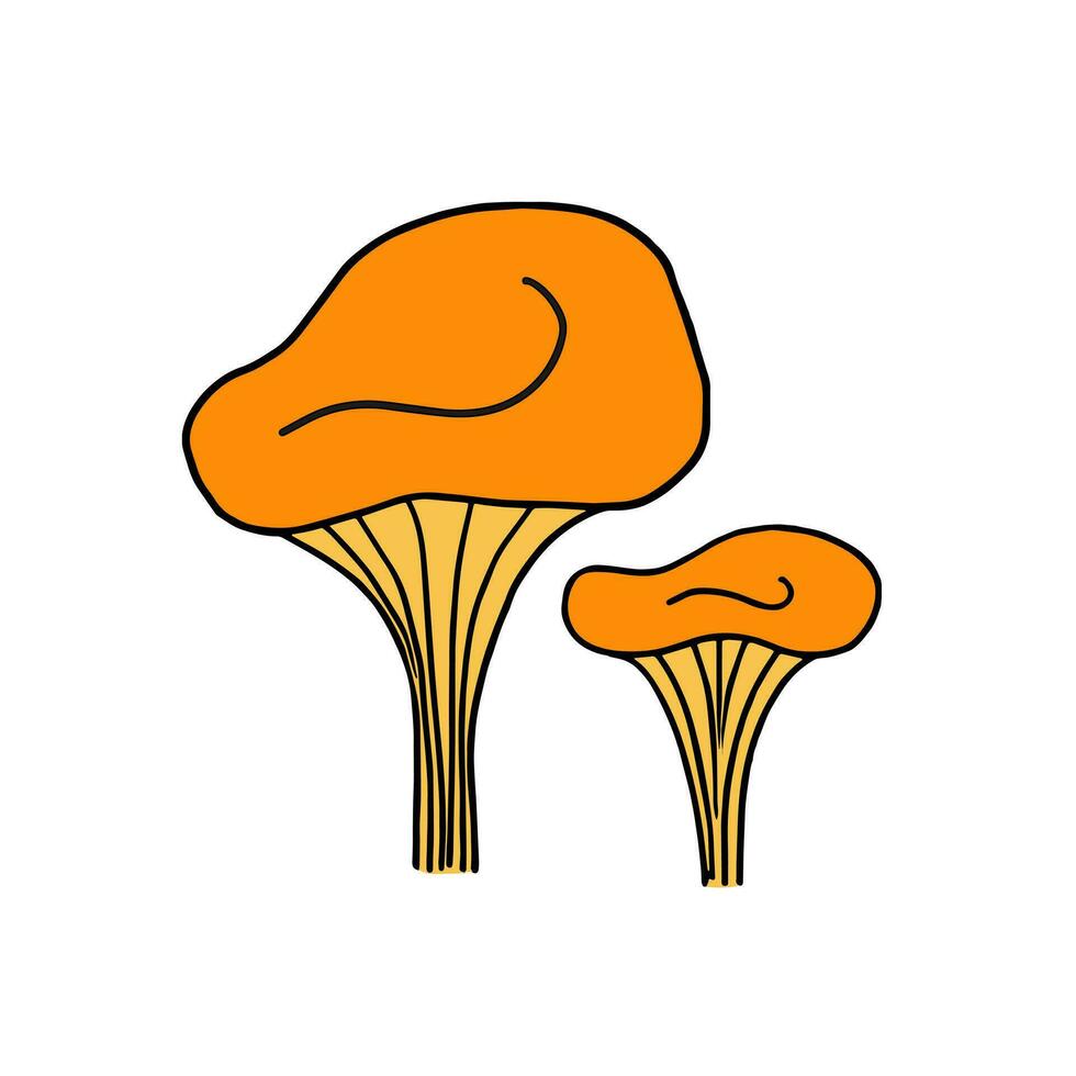 chanterelles, colheita. ilustração para impressão, fundos, cobre e embalagem. imagem pode estar usava para cumprimento cartões, cartazes, adesivos e têxtil. isolado em branco fundo. vetor