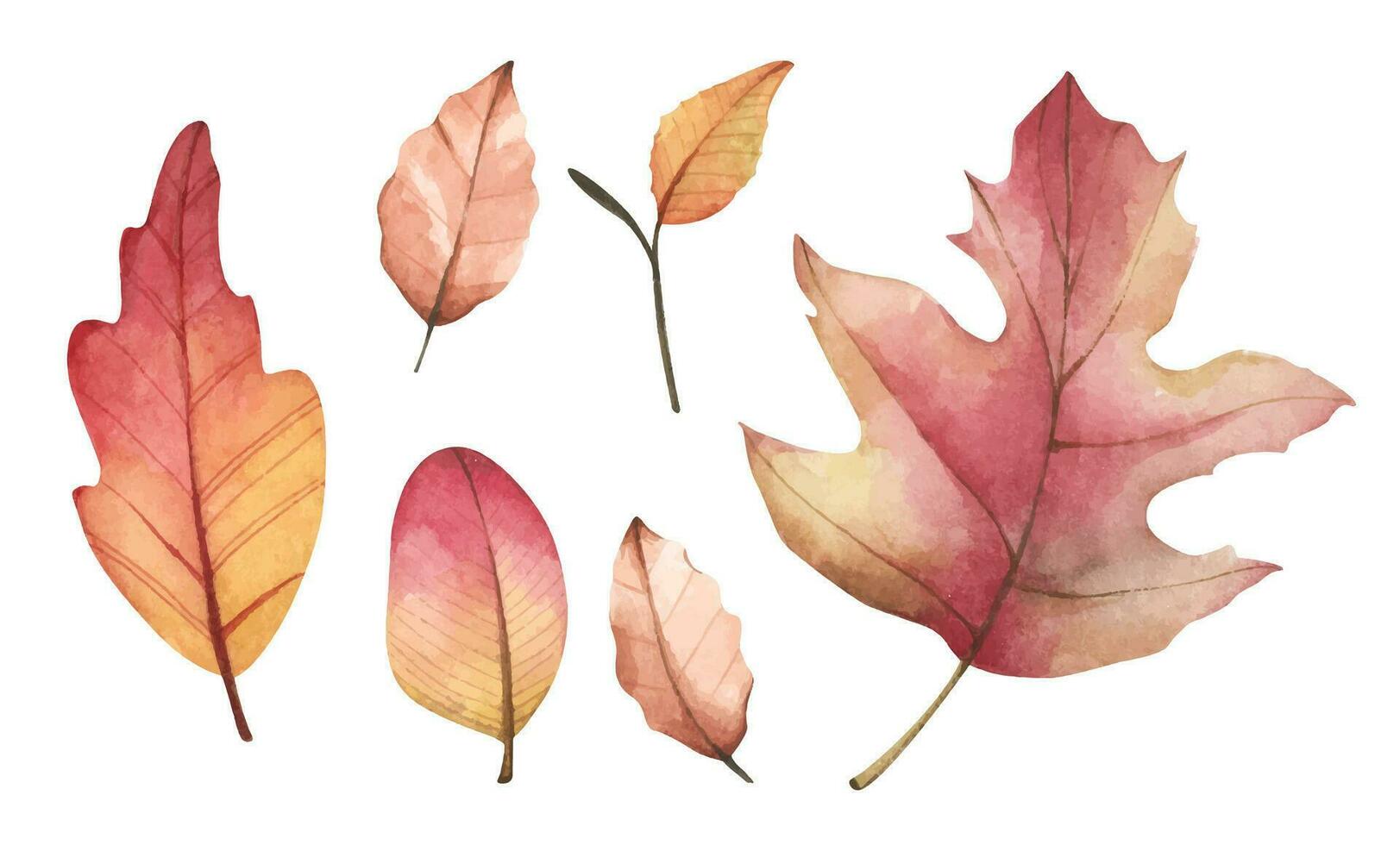 coleção do multicolorido caído outono folhas. aguarela ilustração. vetor