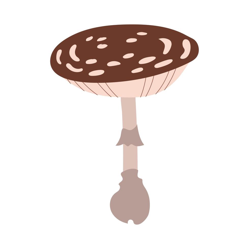 ícone de estilo de desenho de mão de planta fungo paxillus involutus vetor