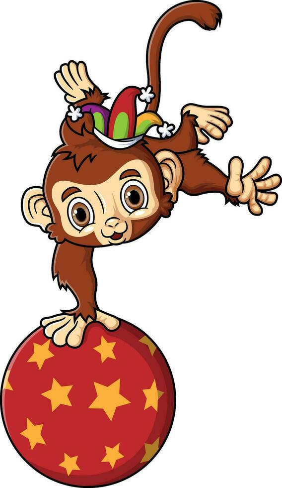 desenho animado circo pequeno macaco balanceamento em bola vetor