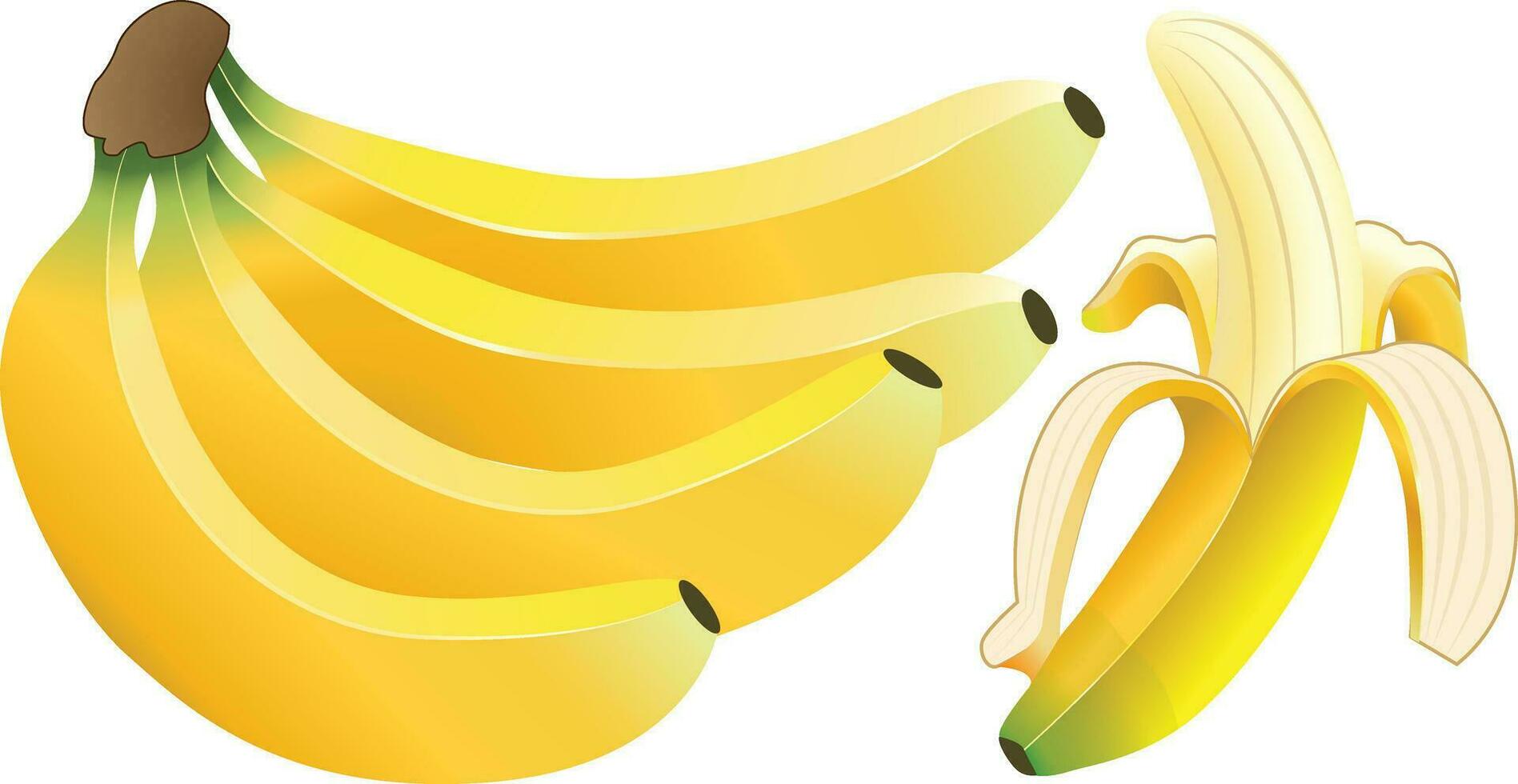 banana vetor com Alto resolução