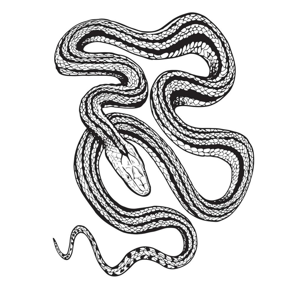 Cobra Da Serpente 3D Isolada Em Um Branco Ilustração Stock - Ilustração de  perigo, levantado: 9571680