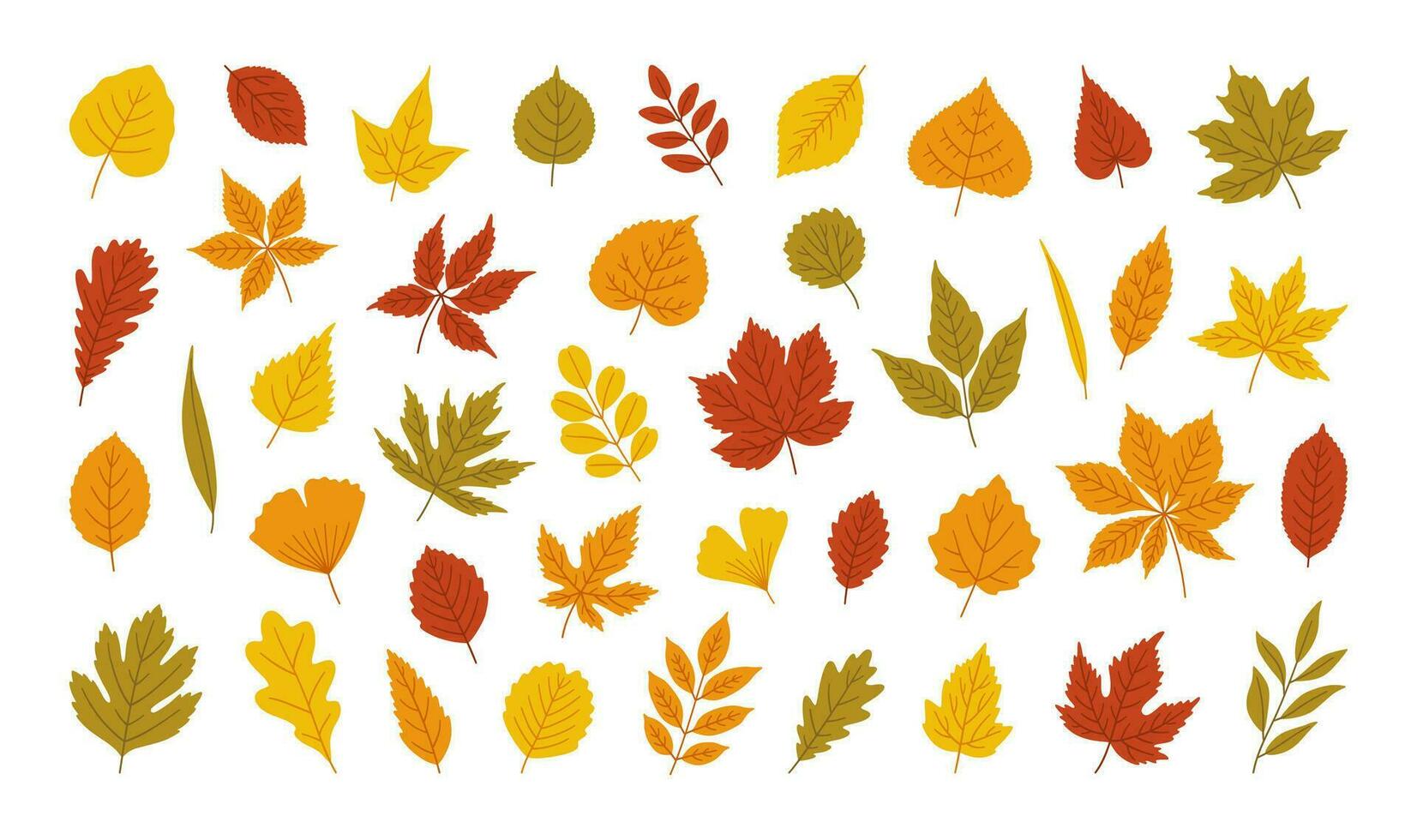 outono folhas definir, vetor ilustração dentro brilhante cores.