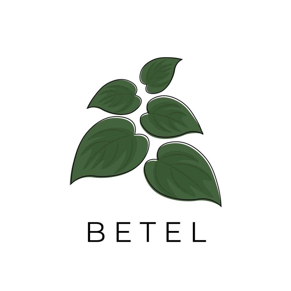 logotipo ilustração do uma grupo do verde betel folhas vetor