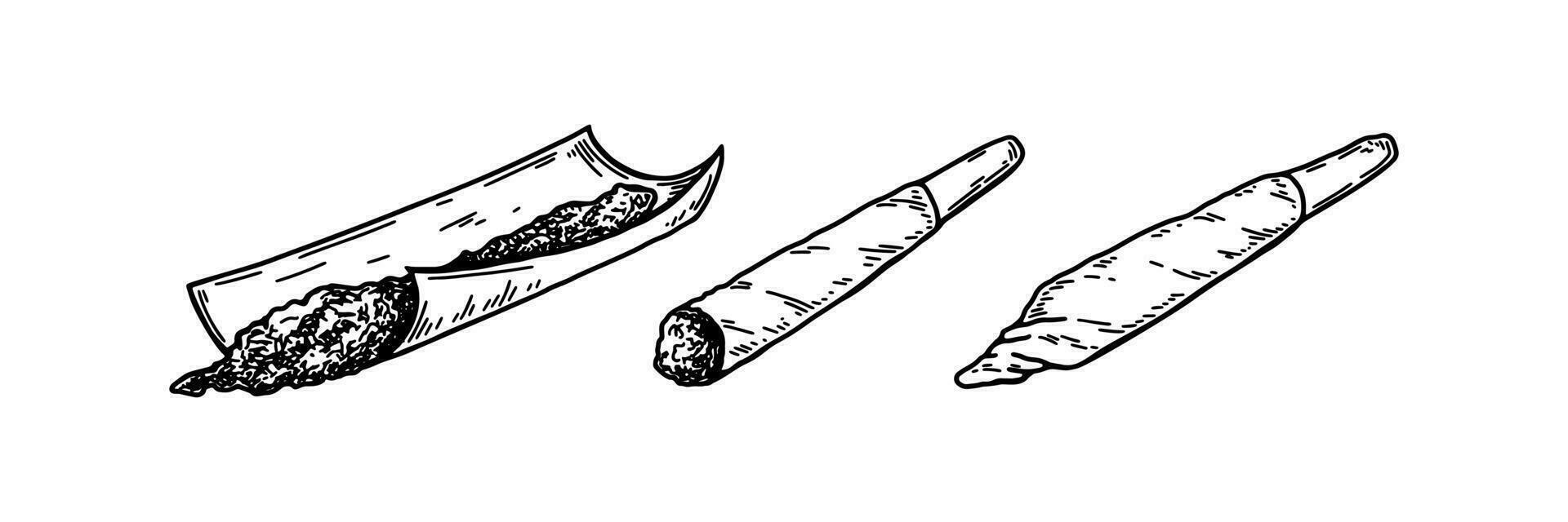 cannabis articulação definir. mão desenhado maconha charro. vetor ilustração dentro esboço estilo