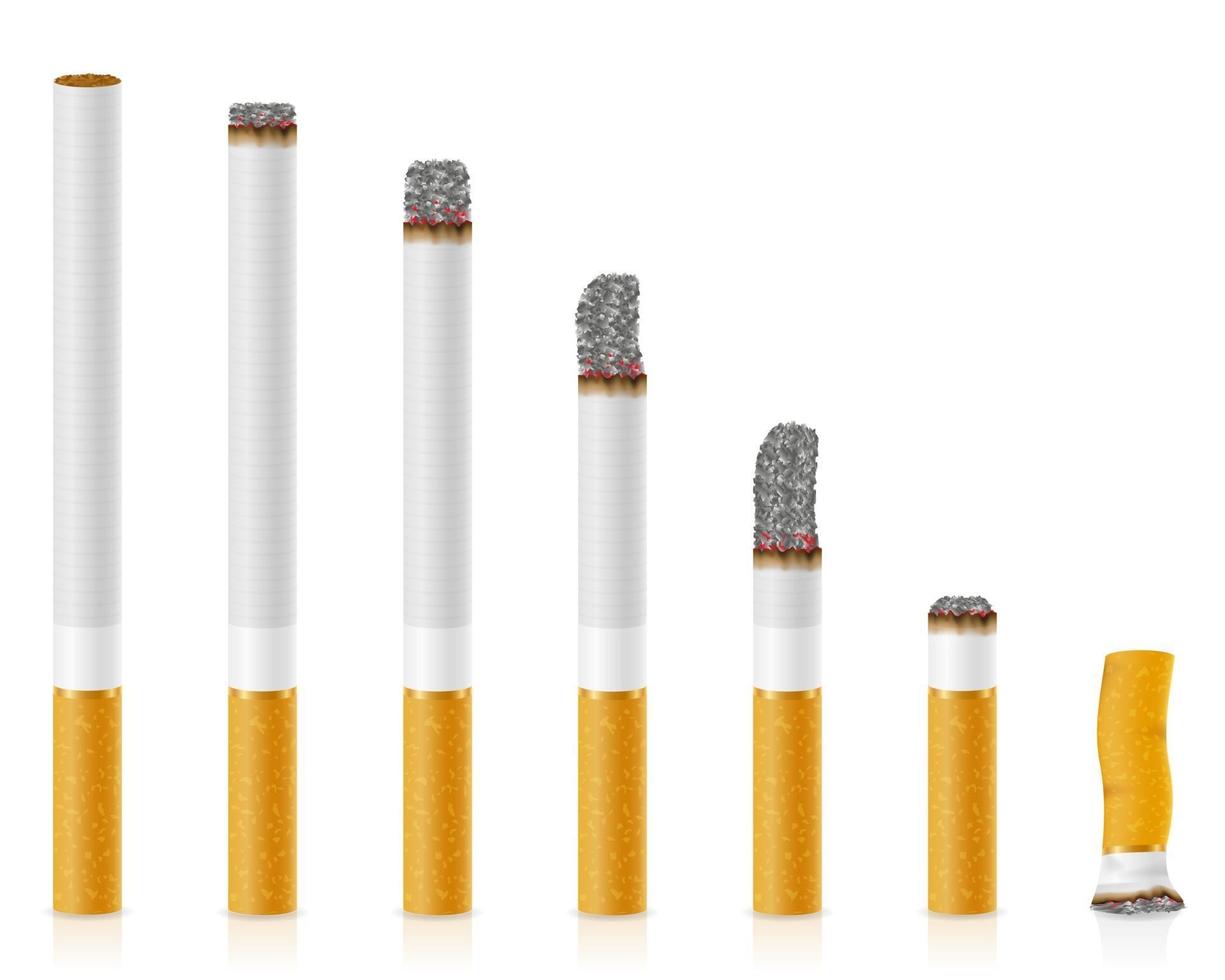 cigarros com ilustração vetorial de estoque de filtro branco isolado no fundo vetor