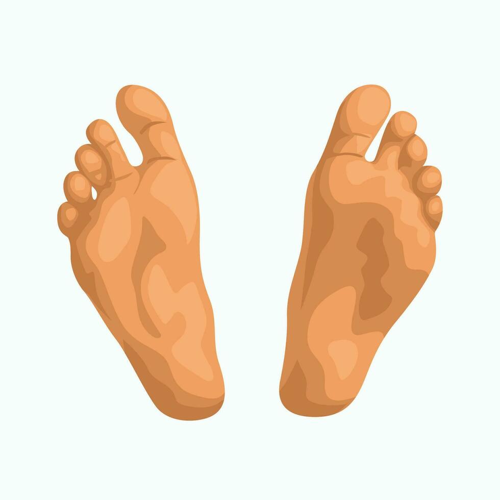 dois humano pés isolado em branco costas vetor