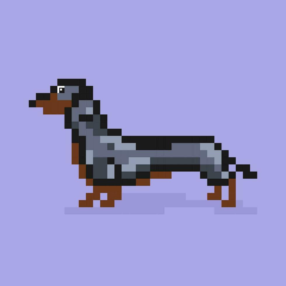 dachshund ícone. retro anos 80 pixel arte. plano estilo. velho escola cachorro, filhote de cachorro, animais de estimação gráfico Projeto. isolado vetor ilustração. Projeto para rede, adesivo, Móvel aplicativo, poster, cartão, bandeira.