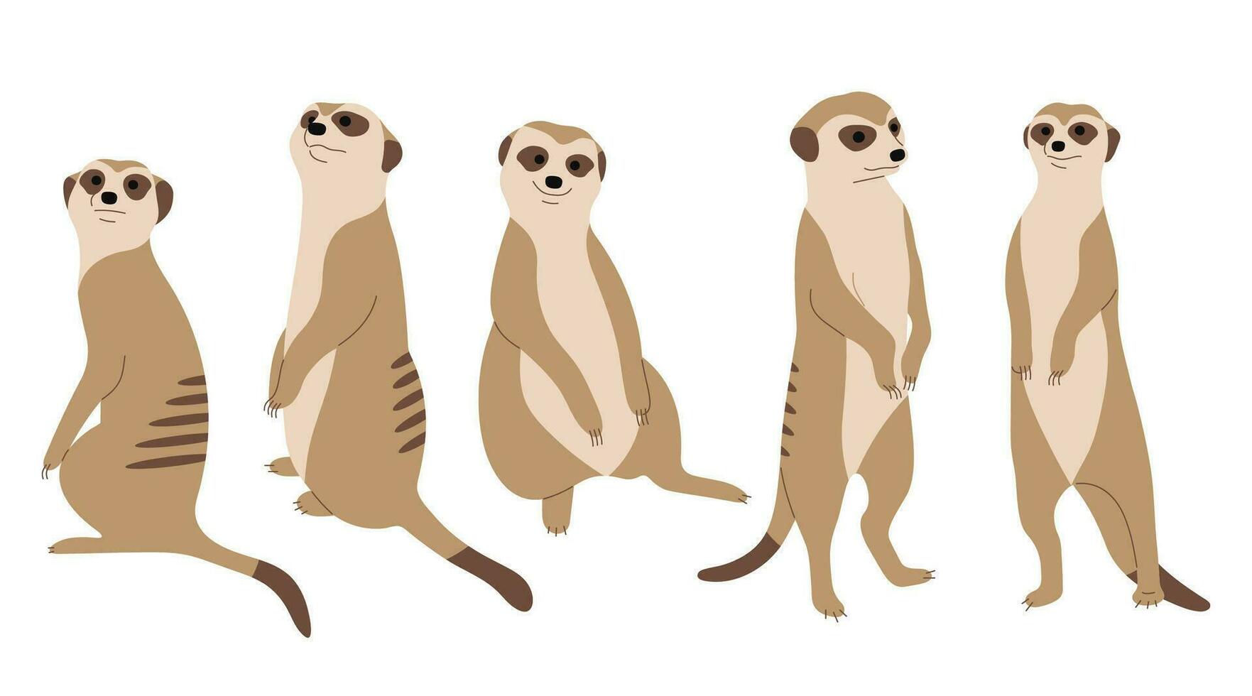 meerkat grupo vetor ilustração