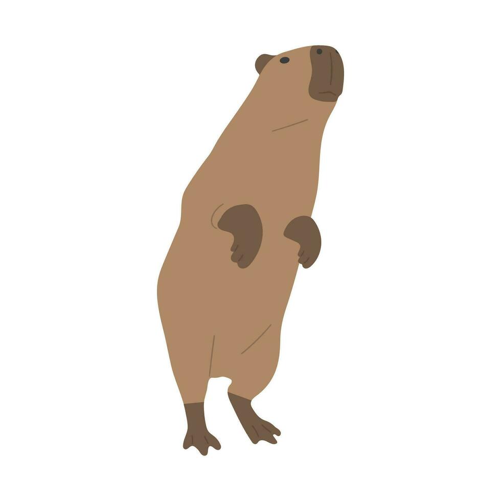 capivara solteiro fofa vetor