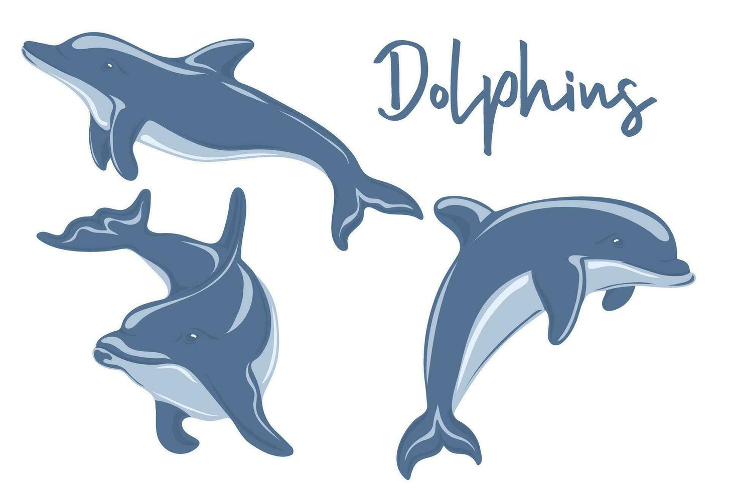 conjunto do golfinhos natação e pulando. marinho morador vetor