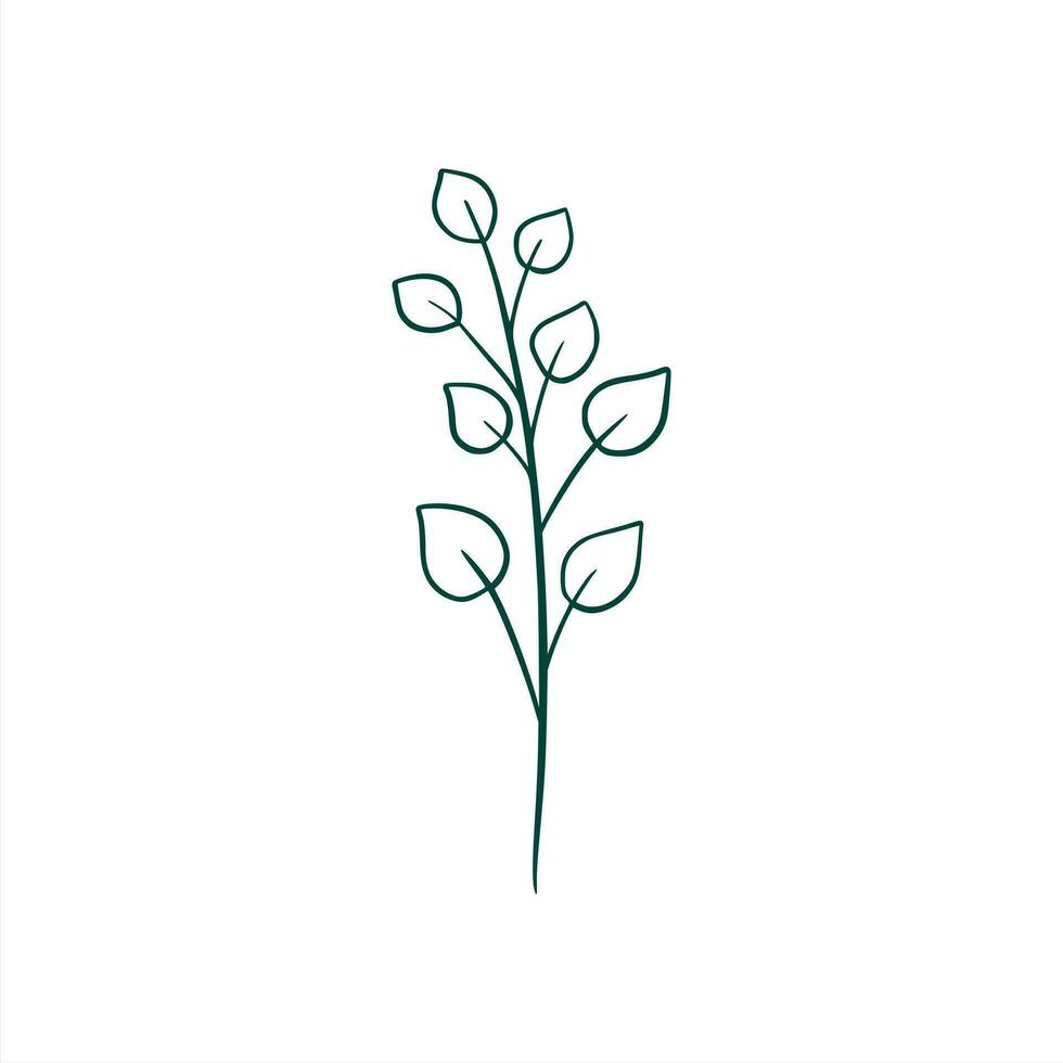 botânico folha rabisco flores silvestres linha arte vetor
