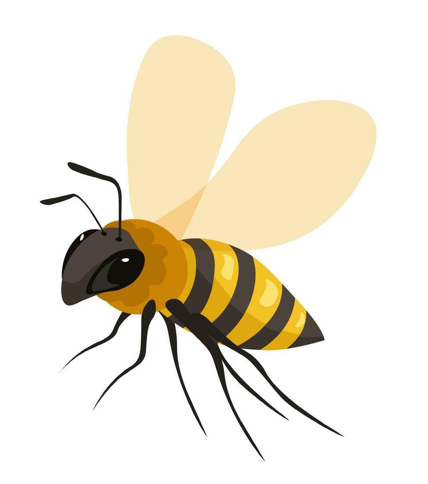abelha inseto, abelha ou vespa fechar-se vetor ícone