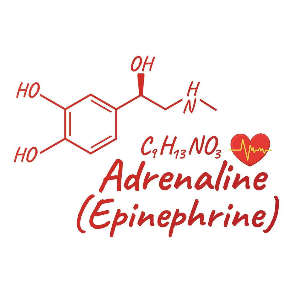 humano hormônio adrenalina, epinefrina conceito químico esquelético Fórmula ícone rótulo, texto Fonte vetor ilustração, isolado em branco.