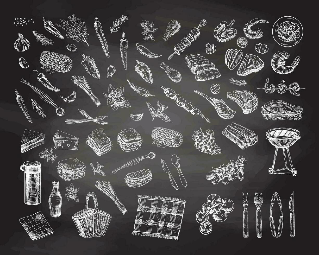 uma conjunto do desenhado à mão esboços do churrasco e piquenique elementos em quadro-negro fundo. rabisco vintage ilustração. gravado imagem. vetor