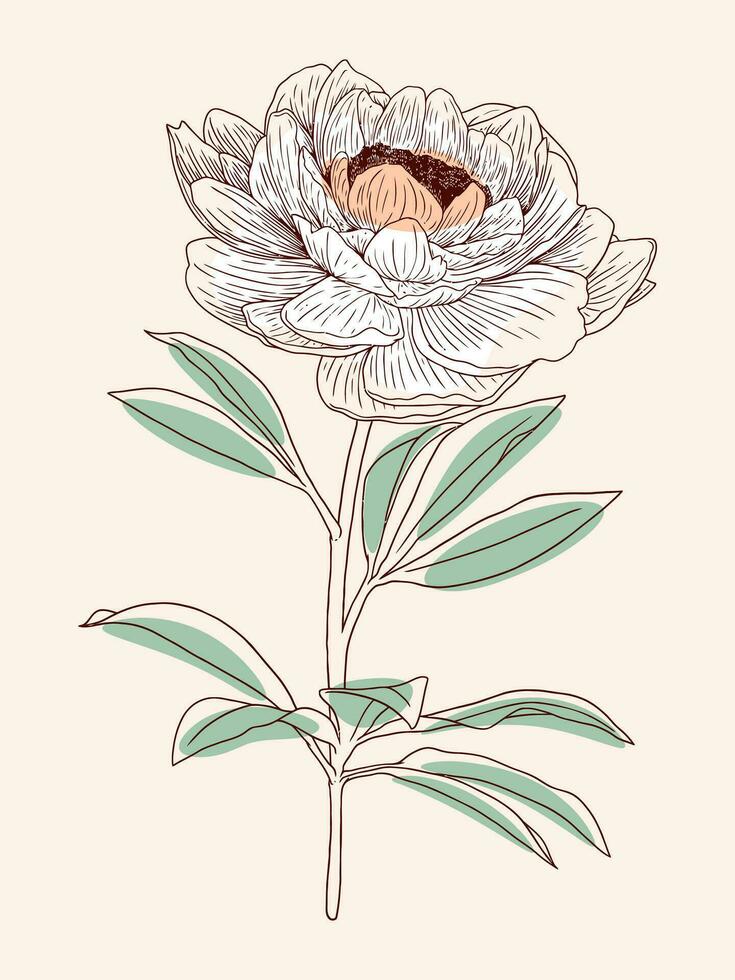 minimalista mão desenhando flor ilustração com detalhado linha arte 02 vetor