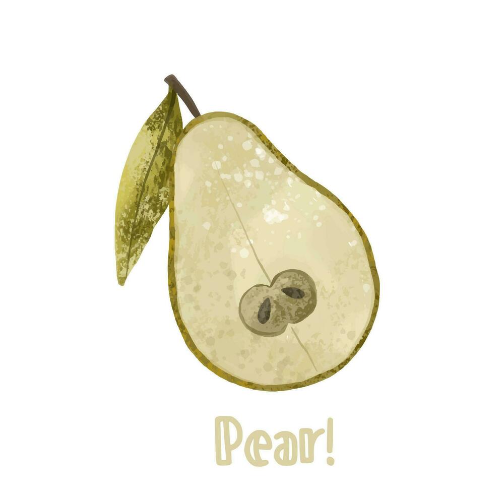 fruta ilustração abstrato pera em branco fundo. suculento peras. verde pera e metade do pera ilustração vetor