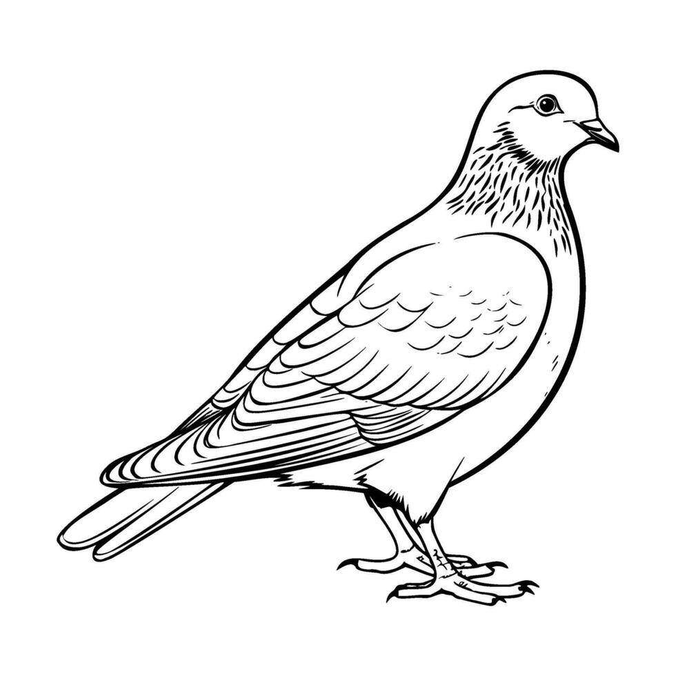 pombos silhueta, pombos mascote logotipo, pombos Preto e branco animal símbolo projeto, pássaro ícone. vetor