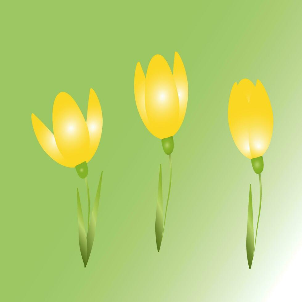 verão cenário amarelo tulipas Primavera flores ramalhete vetor eps10