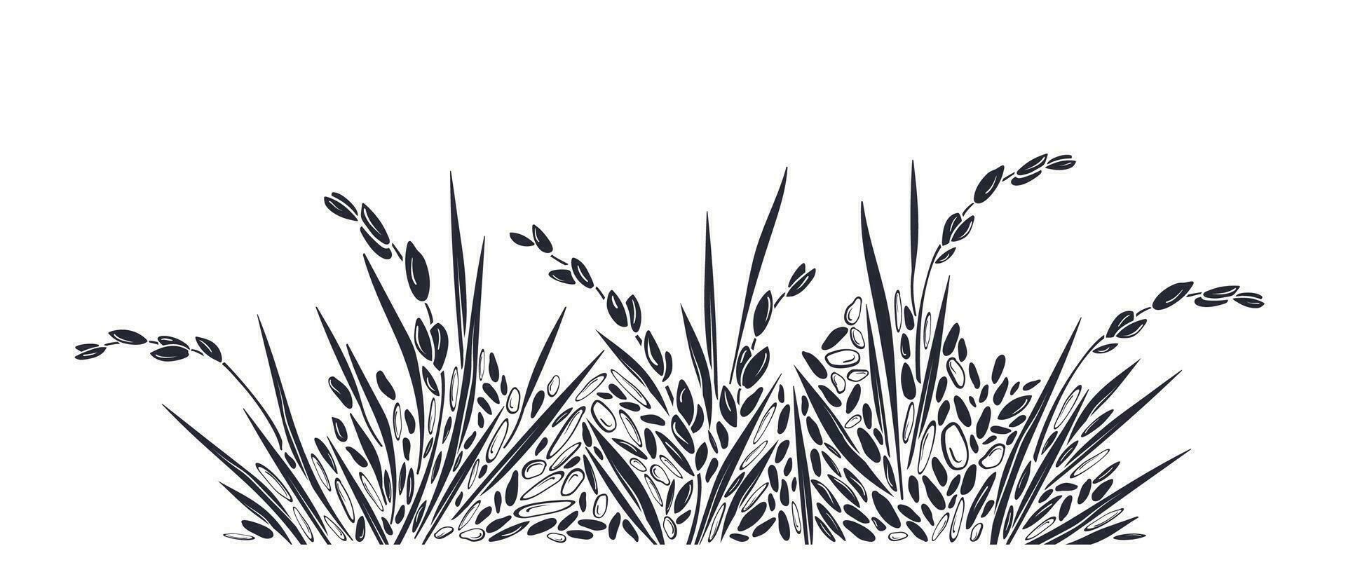 arroz plantação. grão fronteira. vetor arroz campo