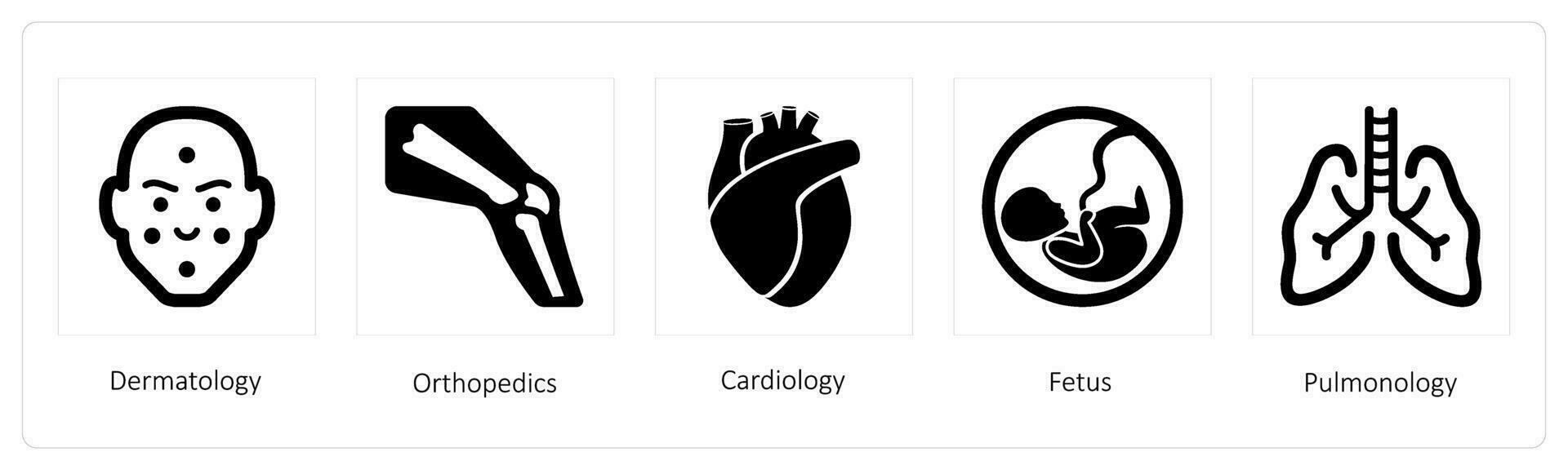 dermatologia, ortopedia, cardiologia vetor