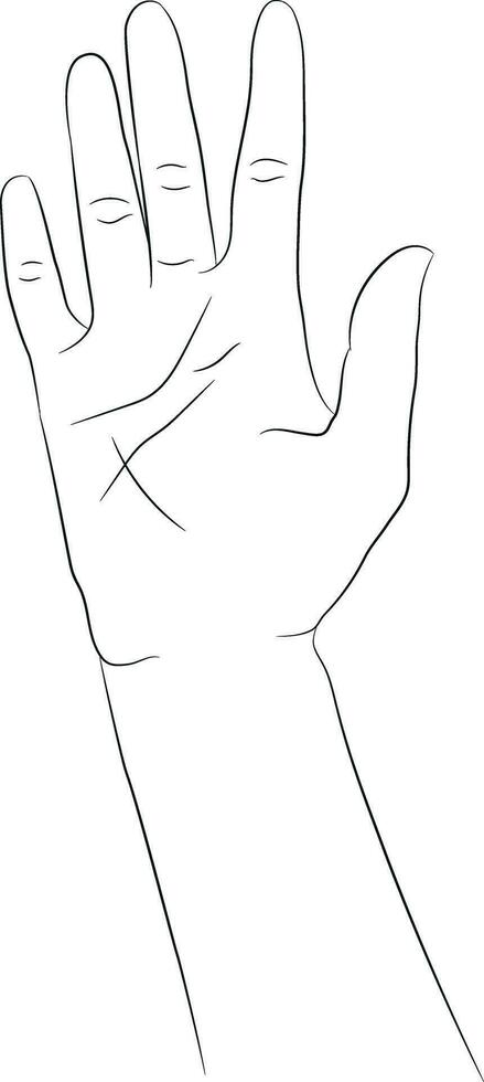 mão desenhado mão isolado em branco fundo. mão desenhado fêmea mão linear esboço. Preto silhueta em branco fundo. vetor ilustração