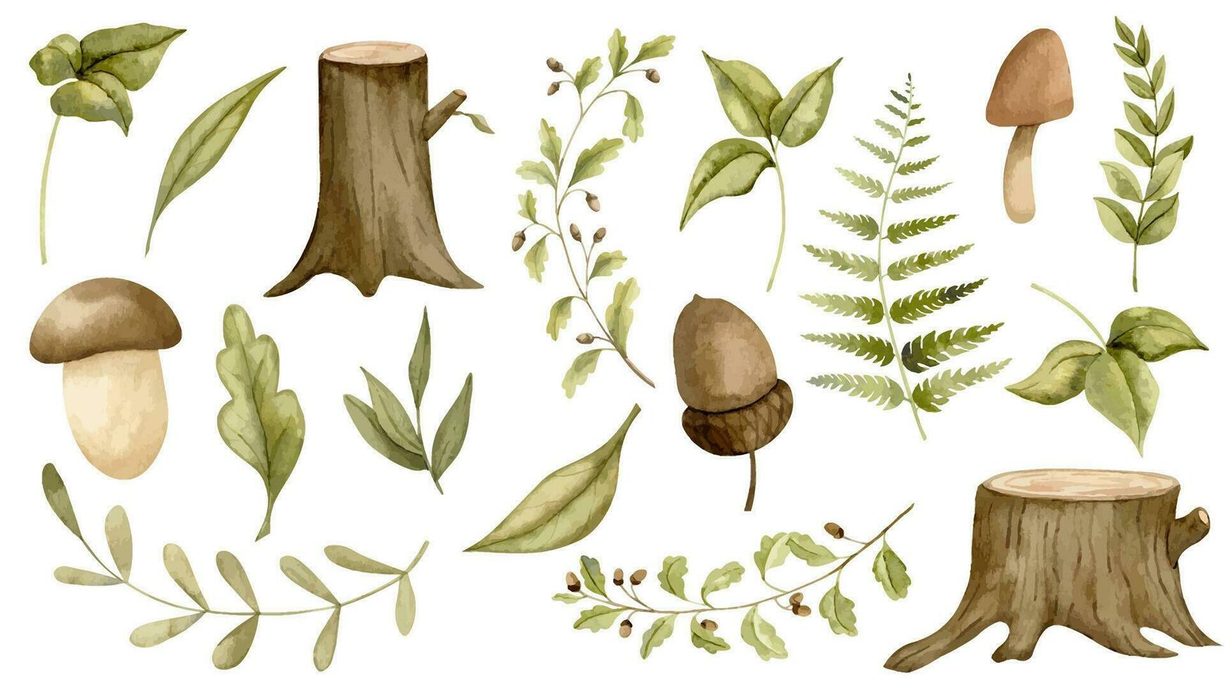 floresta elementos com cogumelos, galhos, folhas e samambaia. mão desenhado aguarela ilustração do bosque verde plantas em branco isolado fundo para bebê chuveiro cumprimento cartões ou convites vetor