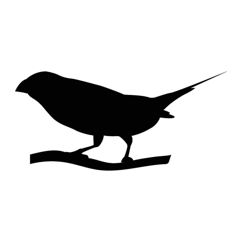 gould tentilhão pássaro ícone vetor