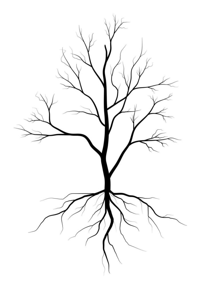 Preto árvore símbolo estilo e branco fundo. pode estar usava para seu trabalhar. vetor