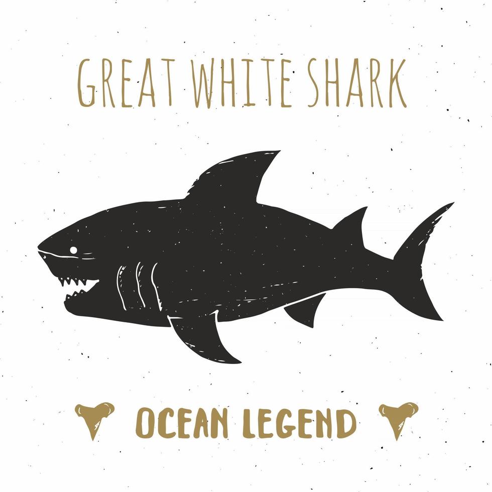 etiqueta vintage silhueta de tubarão, esboço desenhado à mão, distintivo retro texturizado grunge, impressão de t-shirt de design de tipografia, ilustração em vetor náutico