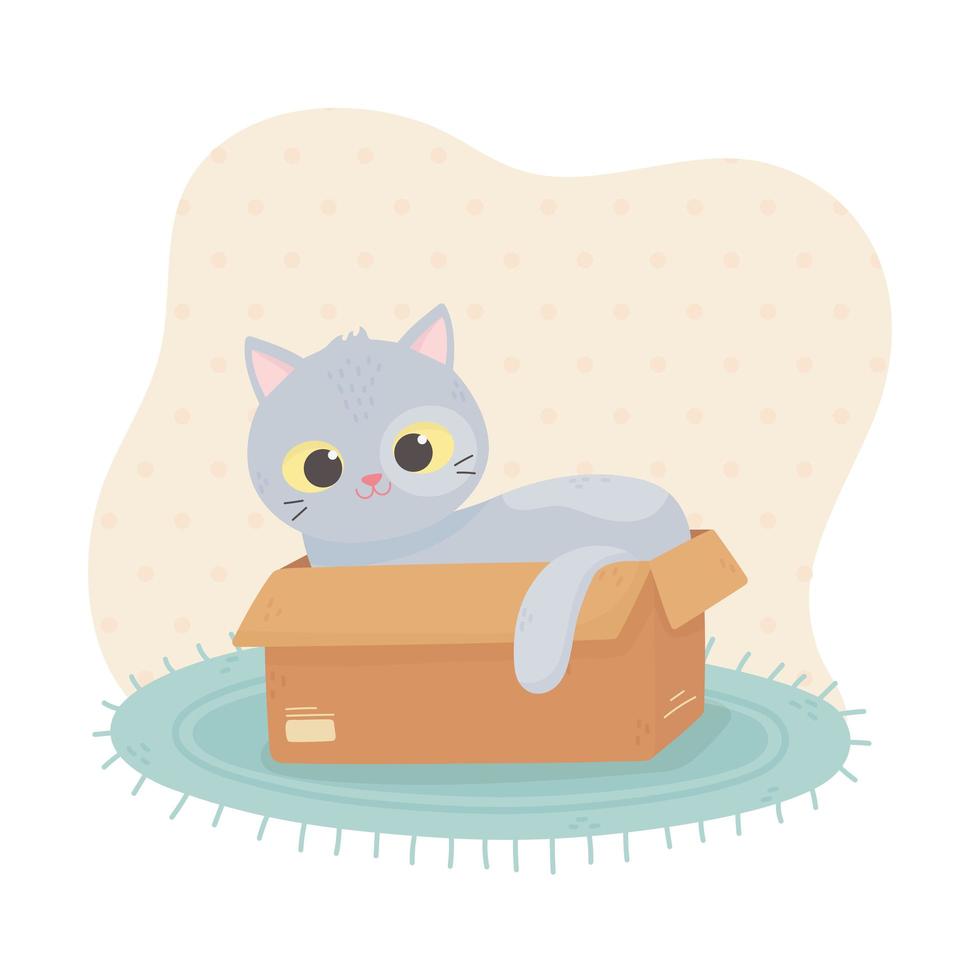 desenho de gato de estimação em caixa de papelão no tapete vetor
