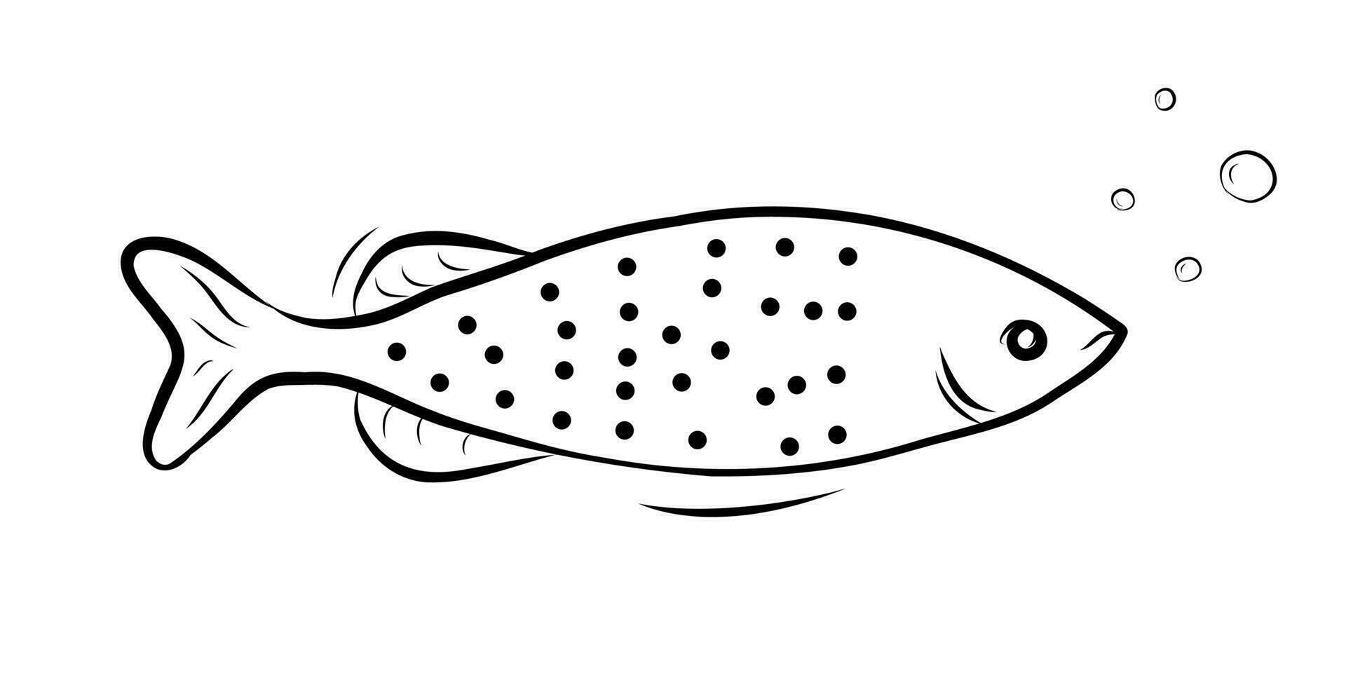 salmão peixe vetor ilustração dentro rabisco estilo