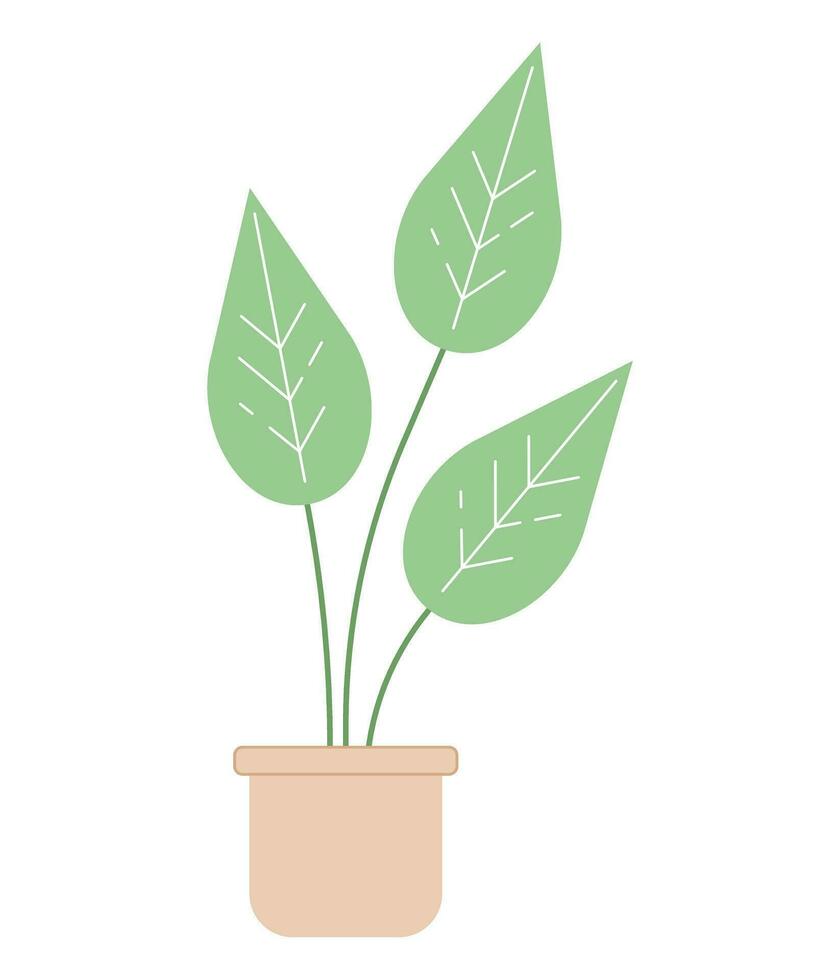 monstera plantar dentro Panela semi plano cor vetor objeto. grande exótico plantar folhas com venes. editável desenho animado grampo arte ícone em branco fundo. simples local ilustração para rede gráfico Projeto