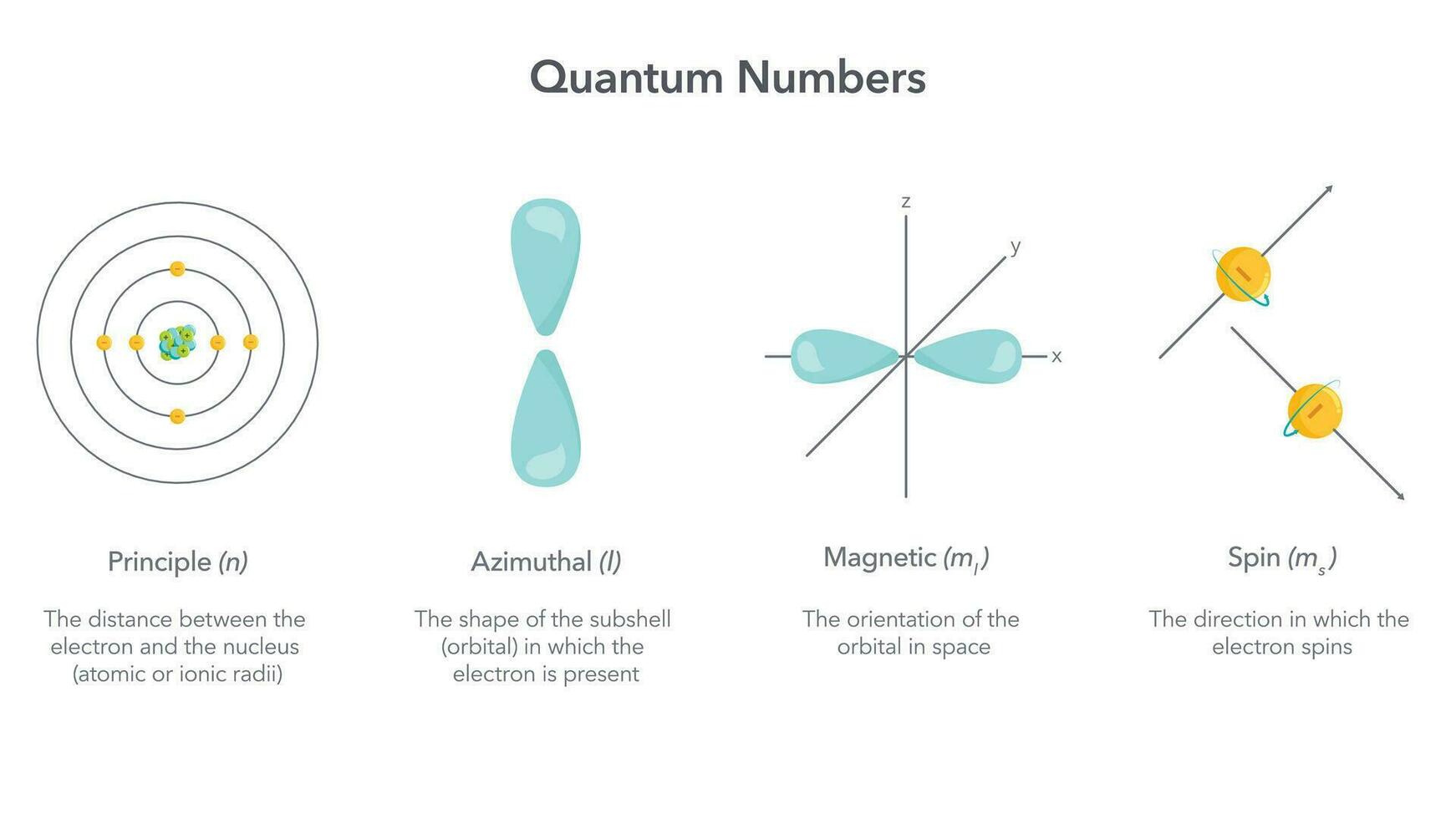 quantum números física vetor ilustração infográfico