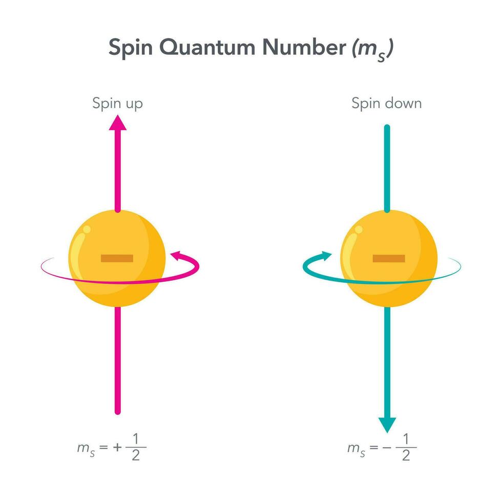 girar quantum número física vetor ilustração infográfico