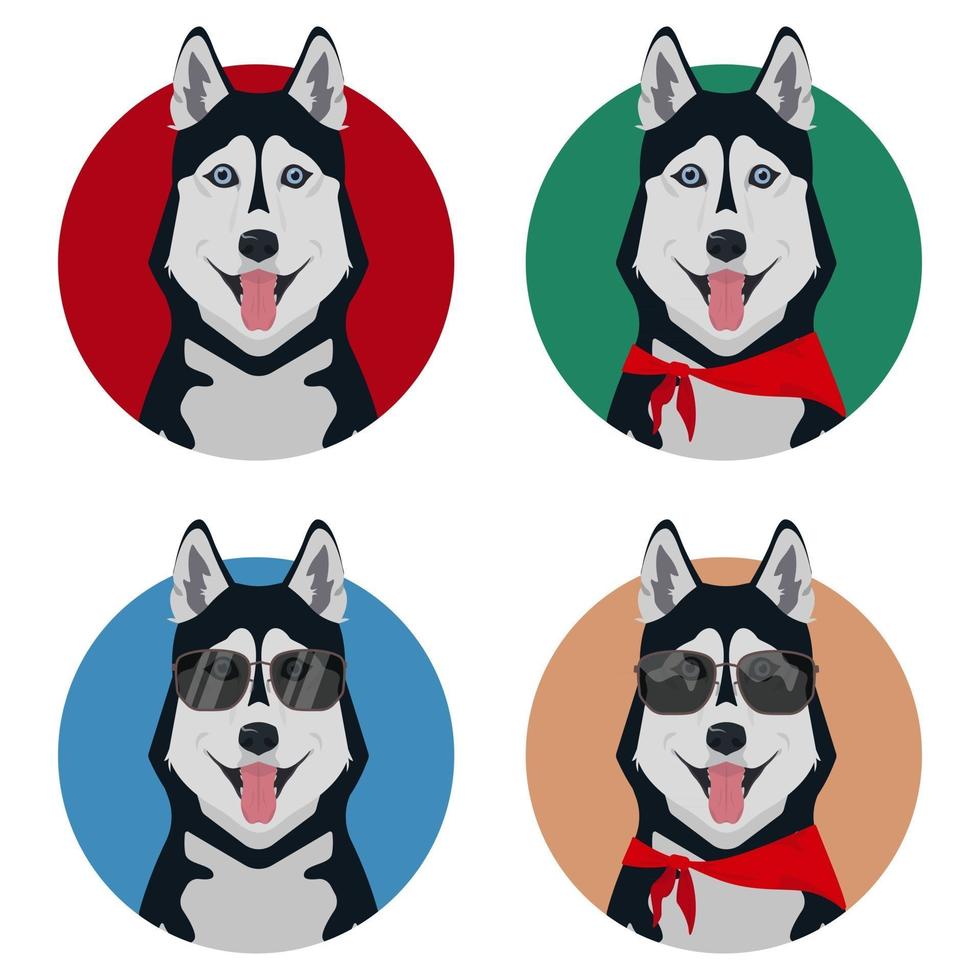 conjunto de husky diferente com língua de fora vetor