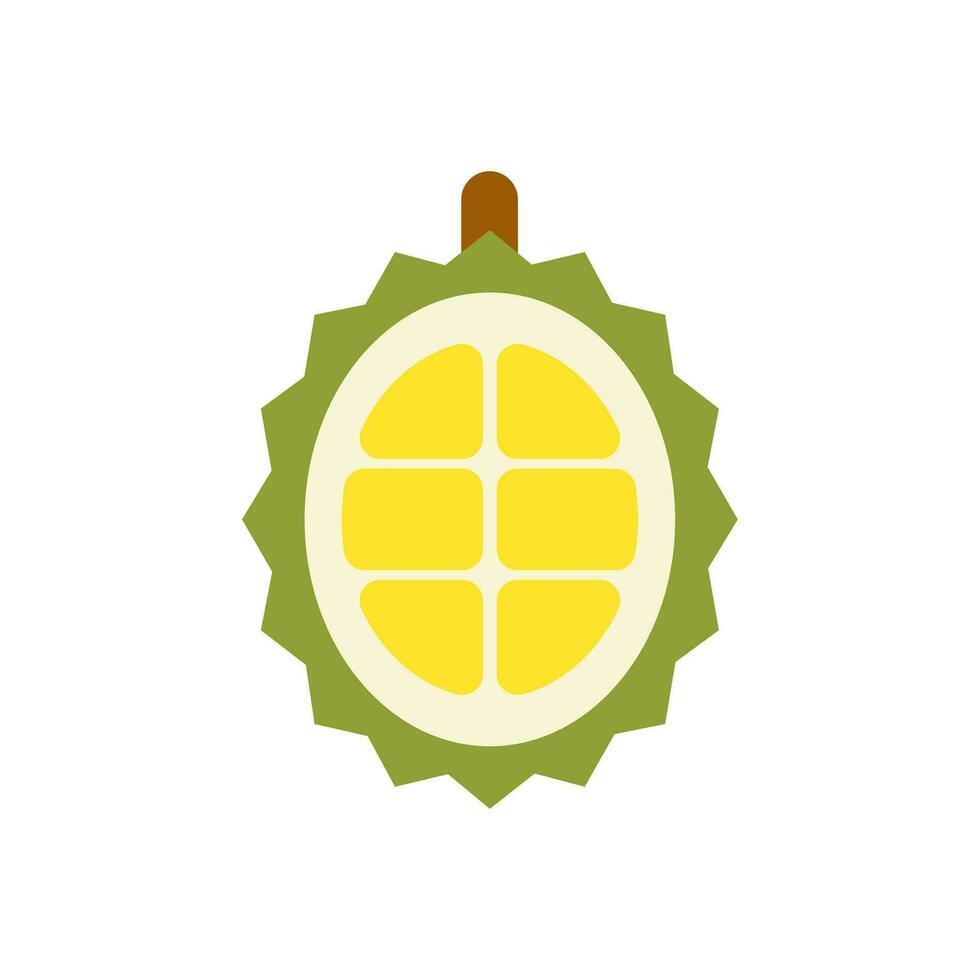 durian plano Projeto vetor ilustração. verão tropical frutas para saudável estilo de vida. isolado ícone. fruta para suco e ingredientes para saudável culinária, Projeto vegetariano cardápio