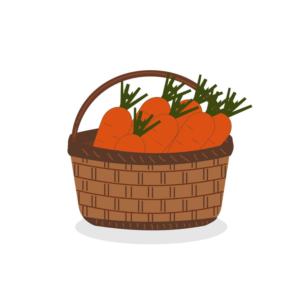 cesta de vime com colheita de cenoura vetor